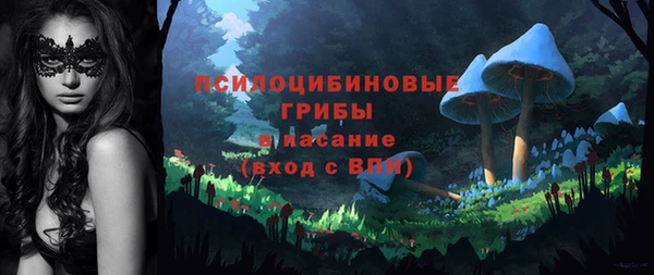 гидра Беломорск
