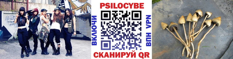 Галлюциногенные грибы мицелий Фёдоровский